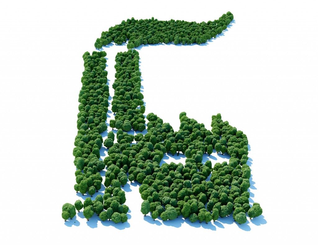 istock_000046010020_xxxlarge.jpg